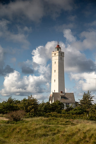 Leuchtturm Blåvandshuk Fyr in Jütland