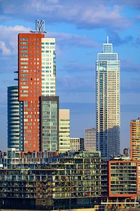 Skyline von Rotterdam bei Sonnenaufgang