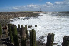 Mooie kust van Walcheren by Abra van Vossen
