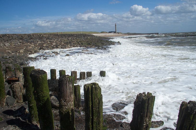 Mooie kust van Walcheren van Abra van Vossen