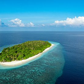 Tropical island with coral reef by Tilo Grellmann