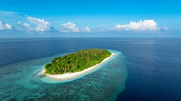 Tropical island with coral reef by Tilo Grellmann