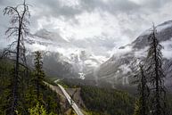 Icefield parkway van Marco Lodder thumbnail