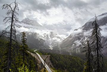 Icefield parkway by Marco Lodder