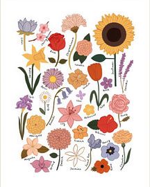 Bloem van Thomas burnet
