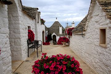 Trulli-Häuser mit Blumen in Alberolbello, Italien