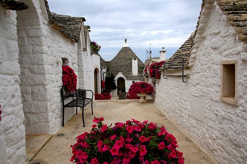 Trulli huisjes met bloemen  in Alberolbello, Italië