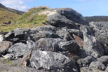 Noorwegen , gesteente van Marilla van der Knoop