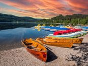 At Lake Titisee in the Black Forest by Animaflora PicsStock thumbnail