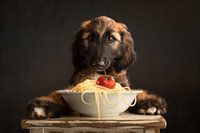 Puppy Pasta!