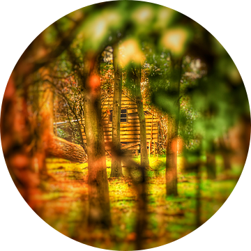 Boswachters huisje verscholen tussen de bomen. van Mariska Brouwenstijn