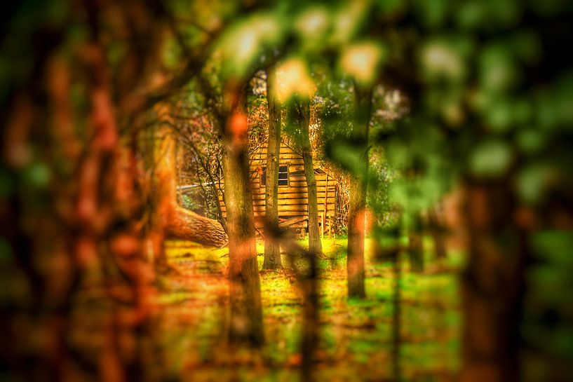 Boswachters huisje verscholen tussen de bomen. von Mariska Brouwenstijn