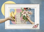 a Spring Collection by Marja van den Hurk thumbnail