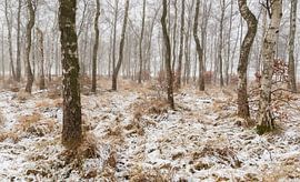 Schneebedeckte Landschaft von Monica de Jong