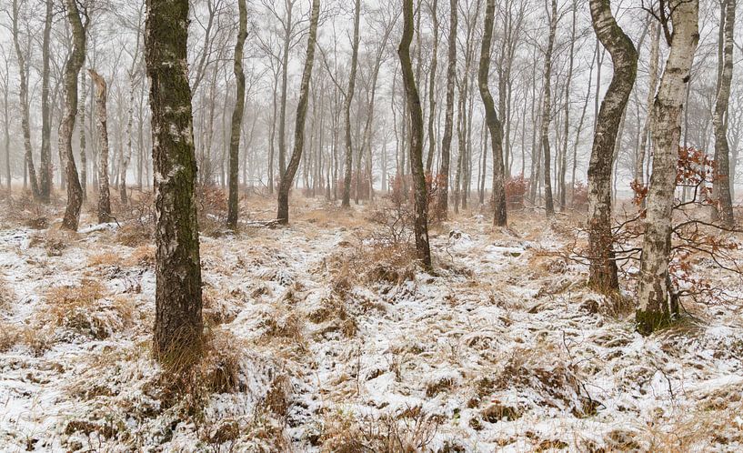 Schneebedeckte Landschaft von Monica de Jong