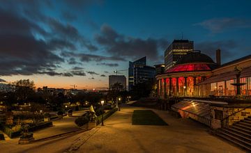 Botanique sunset