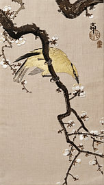 Japanischer Koson-Druck: Chinesischer Pirol auf einem Pflaumenblütenzweig auf Leinen von Studio Pieternel