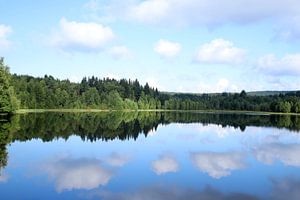 See im Wald