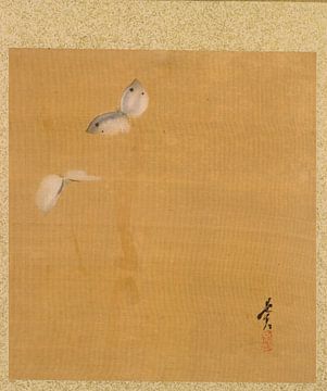 Shibata Zeshin - Blatt aus dem Album mit saisonalen Themen, Ahornblättern und Federn
