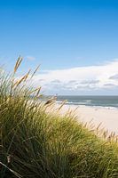 Dünen von Vlieland