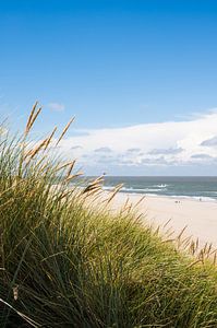 Dunes de Vlieland sur Dian Kors