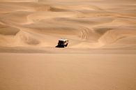 Namib woestijn in Namibië van Jan van Reij thumbnail