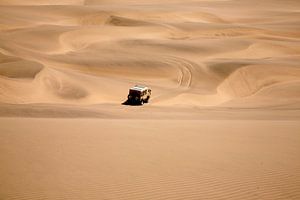 Namib woestijn in Namibië van Jan van Reij