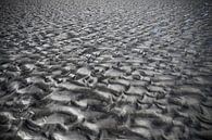 Amelander strand met grillige structuur van Marcia Kirkels thumbnail