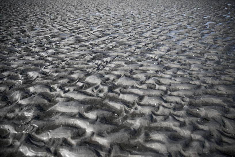 Plage d'Amelander avec structure dentelée par Marcia Kirkels