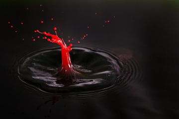 Dramatisch Rood zwart  van Dennis van de Water