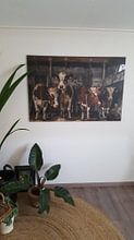 Kundenfoto: Kühe im alten Kuhstall von Inge Jansen, auf leinwand