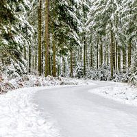 Idyllisch sneeuwlandschap