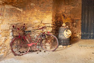 De oude fiets van Halma Fotografie