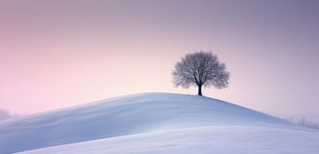 Stilte in het sneeuwlicht van fernlichtsicht
