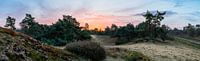 Boshuizerbergen Sunrise van William Mevissen thumbnail