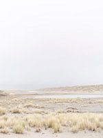 Winderig duinlandschap