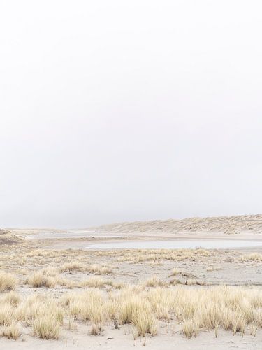 Windige Dünenlandschaft