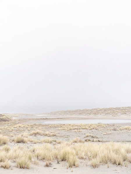 Windswept beach grass on dunes and lake by Laura-anne Grimbergen