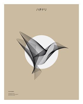 Lijnenspel van elegante hooverende colibri