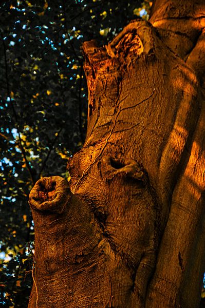 Fantasie der natuur van Miny'S