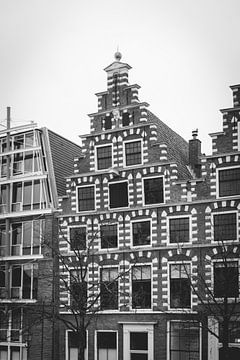 Black and white photo of a canal house in Haarlem | Fine art photo print | Netherlands, Europe by Sanne Dost
