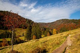 Blick ins Menzenschwander Albtal im Herbst von Alexander Wolff