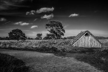 De groote peel - Zwart Wit