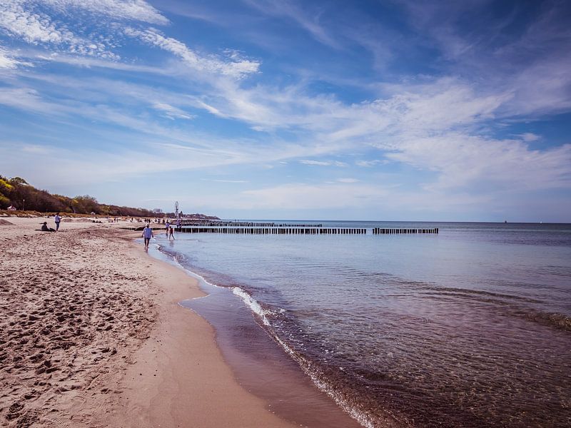 Am Strand von Kühlungsborn an der Ostsee von Animaflora PicsStock