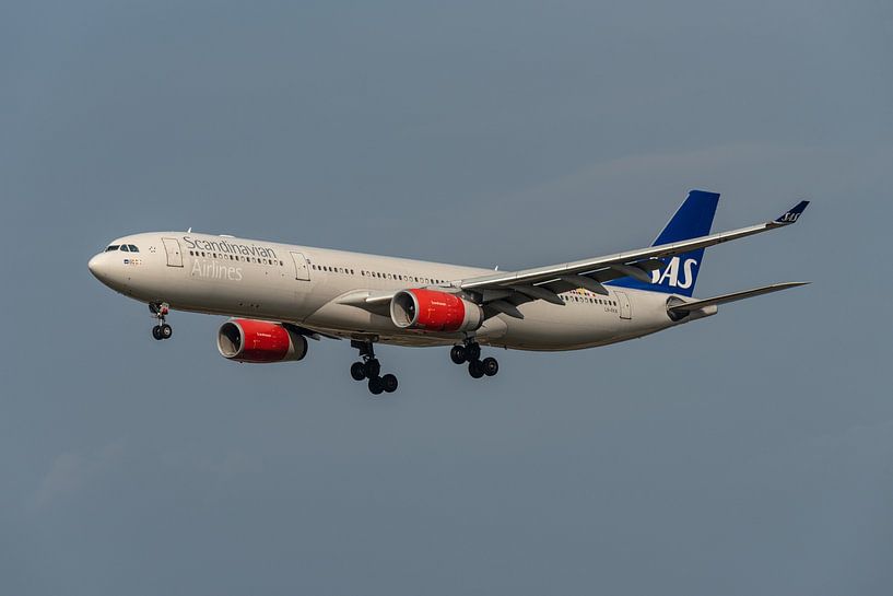 SAS Scandinavian Airlines Airbus Airbus A330-300. van Jaap van den Berg