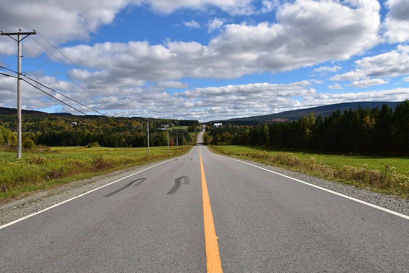 A summer country road by Claude Laprise