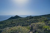 Landschaft auf La Palma in der Nähe von El Faro von Rob van der Pijll Miniaturansicht