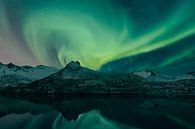 Noorderlicht boven de Lofoten eilanden in Noorwegen tijdens de winter van Sjoerd van der Wal Fotografie thumbnail