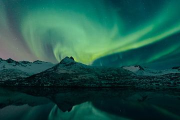 Noorderlicht boven de Lofoten eilanden in Noorwegen tijdens de winter