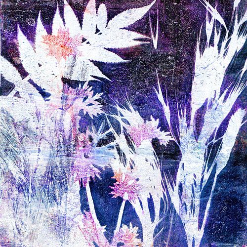 Botanische diversiteit van de natuur in violet